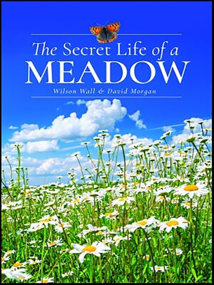 cover image of The Secret Life of a Meadow